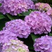 ヒメ日記 2026/06/22 12:33 投稿 さり The White