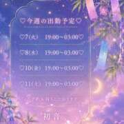 ヒメ日記 2026/07/07 18:47 投稿 初音 あなたに逢いたくて