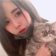 ヒメ日記 2026/06/08 06:12 投稿 藤之あやめ プロフィール 京都店