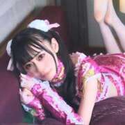 ヒメ日記 2026/06/15 14:43 投稿 るりな【倉科カ〇似の極嬢】 STELLA TOKYO－ステラトウキョウ－