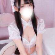 ヒメ日記 2026/07/28 15:42 投稿 るりな【倉科カ〇似の極嬢】 STELLA TOKYO－ステラトウキョウ－