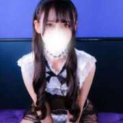 ヒメ日記 2026/08/23 18:47 投稿 るりな【倉科カ〇似の極嬢】 STELLA TOKYO－ステラトウキョウ－