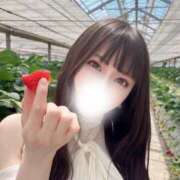 ヒメ日記 2026/10/04 11:22 投稿 るりな【倉科カ〇似の極嬢】 STELLA TOKYO－ステラトウキョウ－