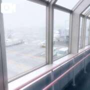 ヒメ日記 2026/05/25 10:21 投稿 白馳深雪 ラブリップ川越
