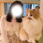 ヒメ日記 2026/07/21 19:28 投稿 もも One More 奥様　池袋店