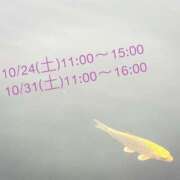 ヒメ日記 2026/10/21 07:50 投稿 まどか 人妻こゆびの約束久喜店