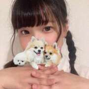 ヒメ日記 2026/05/24 23:18 投稿 おもち【究極のイチャイチャ】 ポニーテール和歌山店