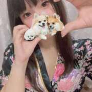 ヒメ日記 2026/06/06 14:38 投稿 おもち【究極のイチャイチャ】 ポニーテール和歌山店