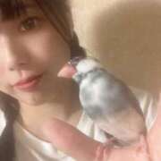 ヒメ日記 2026/06/14 00:48 投稿 おもち【究極のイチャイチャ】 ポニーテール和歌山店