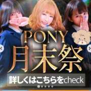 ヒメ日記 2026/06/30 11:20 投稿 おもち【究極のイチャイチャ】 ポニーテール和歌山店