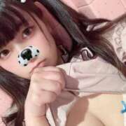 ヒメ日記 2026/07/20 08:56 投稿 おもち【究極のイチャイチャ】 ポニーテール和歌山店