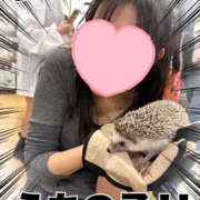 なのか これみて🦔⸒⸒ サティアンまーと