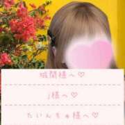 ヒメ日記 2026/06/04 04:09 投稿 れの アネックスジャパン