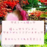 ヒメ日記 2026/08/17 19:29 投稿 れの アネックスジャパン