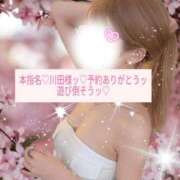 ヒメ日記 2026/10/03 16:52 投稿 れの アネックスジャパン