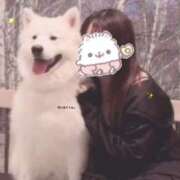 りり ❤︎犬派？猫派？❤︎ 君とふわふわプリンセスin熊谷