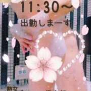 ヒメ日記 2026/07/03 10:50 投稿 かすみ 熟女デリヘル倶楽部