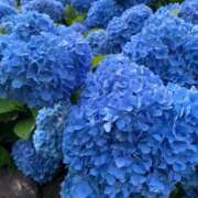 ヒメ日記 2026/07/07 08:03 投稿 うり 舐めフェチの会