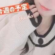 ヒメ日記 2026/08/03 07:47 投稿 ふうか/清らか優雅美人 Temis（テミス）