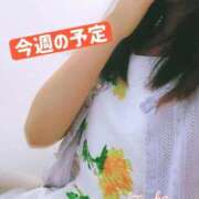 ヒメ日記 2026/08/30 07:47 投稿 ふうか/清らか優雅美人 Temis（テミス）