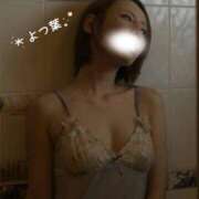 ヒメ日記 2026/05/28 10:56 投稿 よつ葉～F乳客室乗務員～ 人妻ジャンキー