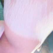 ヒメ日記 2026/09/15 17:46 投稿 よつ葉～F乳客室乗務員～ 人妻ジャンキー