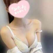 ヒメ日記 2026/06/01 12:27 投稿 みれい/美貌容姿天下一品 Temis（テミス）