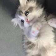 るりん 出勤〜🎀 アオハル学園
