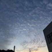 ヒメ日記 2026/07/26 05:12 投稿 えま りんくう泉佐野ちゃんこ