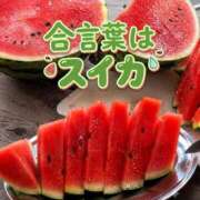 ヒメ日記 2026/07/24 14:48 投稿 椎名みおか 恋する妻たち