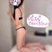 ヒメ日記 2026/07/17 23:53 投稿 れあ プリンセスセレクション姫路