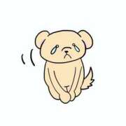 ラナ すみません🙇‍♀️ ぽっちゃり巨乳素人専門 埼玉越谷ちゃんこ