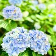 ヒメ日記 2026/07/03 13:17 投稿 みちか モアグループ大宮人妻花壇