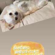 ヒメ日記 2026/08/23 06:43 投稿 皐月 大阪回春性感マッサージ倶楽部