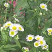 ヒメ日記 2026/05/28 11:09 投稿 きら 熟女の風俗最終章 池袋店