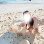 ヒメ日記 2026/06/04 01:30 投稿 和香-Waka- 姉新地