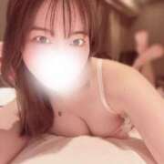 ヒメ日記 2026/06/11 02:49 投稿 和香-Waka- 姉新地