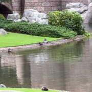 ヒメ日記 2026/09/30 16:44 投稿 あいり 激安ドットコム