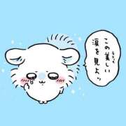 ヒメ日記 2026/07/14 10:44 投稿 もか アラモード