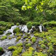 神崎かりん 心が癒される🥺🌿🌳💧✨ サクラ（すすきの）