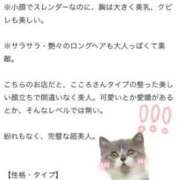 ヒメ日記 2026/06/06 16:42 投稿 いろは いざ候 別館