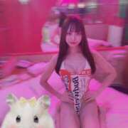 ヒメ日記 2026/07/14 14:01 投稿 ねこ Mix Japan 東京