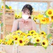 ヒメ日記 2026/07/11 19:51 投稿 Yuina LUXURY（ラグジュアリー）