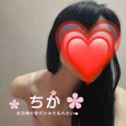 ヒメ日記 2026/05/30 15:15 投稿 チカ ドMな奥さん 日本橋店