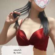 ヒメ日記 2026/06/03 07:16 投稿 チカ ドMな奥さん 日本橋店