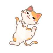 みやこ 【お礼写メ日記】　見た目だけなんです、クールなの… sweet kiss