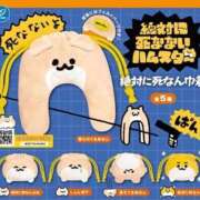 月乃　ここあ 今日はこのハムゲット🐹 NADIA神戸店