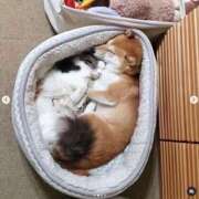 ヒメ日記 2026/06/02 21:23 投稿 えま 吉野ケ里人妻デリヘル 「デリ夫人」