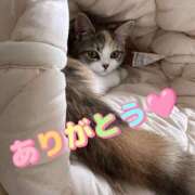 ヒメ日記 2026/06/03 21:46 投稿 えま 吉野ケ里人妻デリヘル 「デリ夫人」
