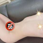 ヒメ日記 2026/06/04 09:05 投稿 もも 沼津人妻花壇